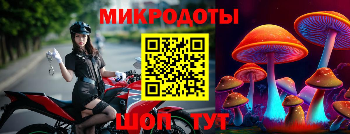Псилоцибиновые грибы GOLDEN TEACHER  Вход с VPN  Петропавловск-Камчатский 